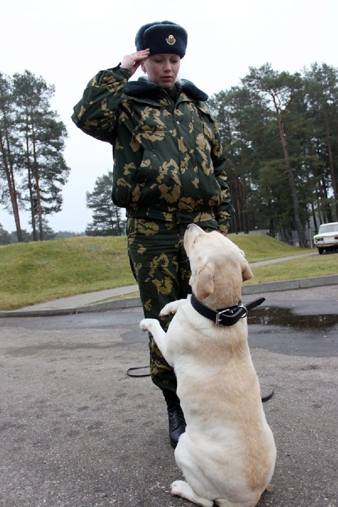 От пятидесяти к сотне